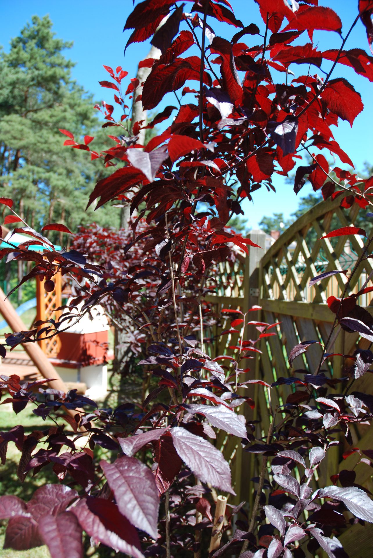 Pobierowo domki letniskowe - NawaraPark (noclegi, wczasy)