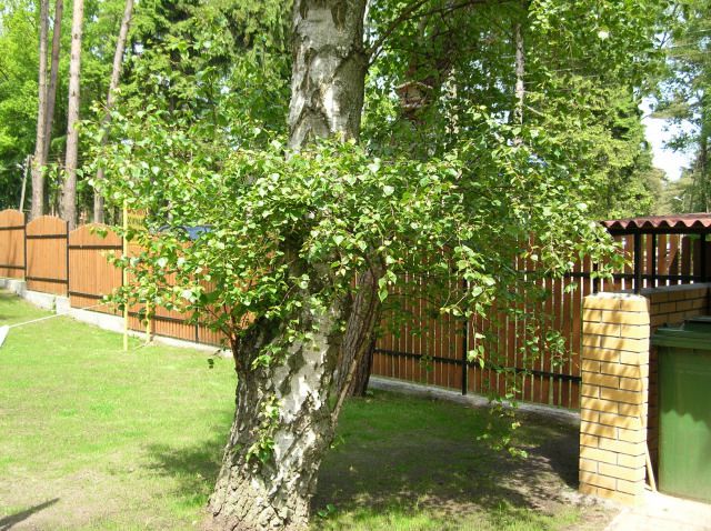 Pobierowo domki letniskowe - NawaraPark (noclegi, wczasy)