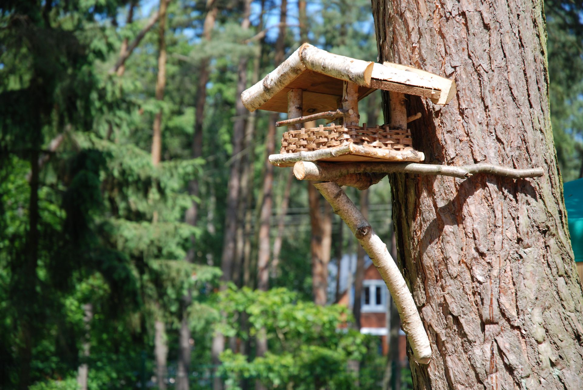Pobierowo domki letniskowe - NawaraPark (noclegi, wczasy)