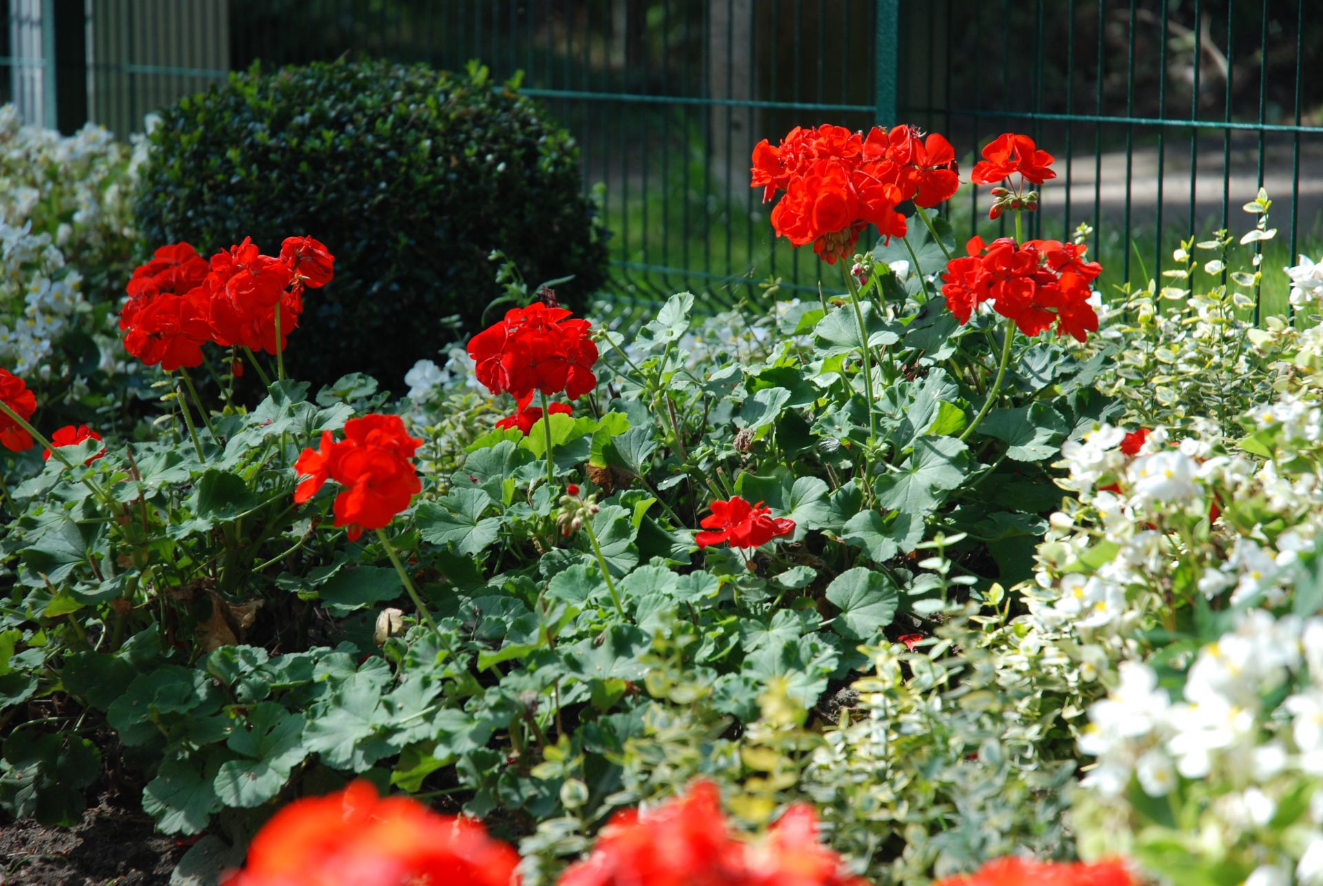 Pobierowo domki letniskowe - NawaraPark (noclegi, wczasy)