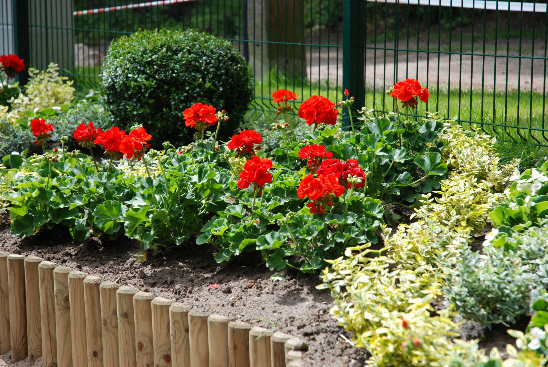 Pobierowo domki letniskowe - NawaraPark (noclegi, wczasy)