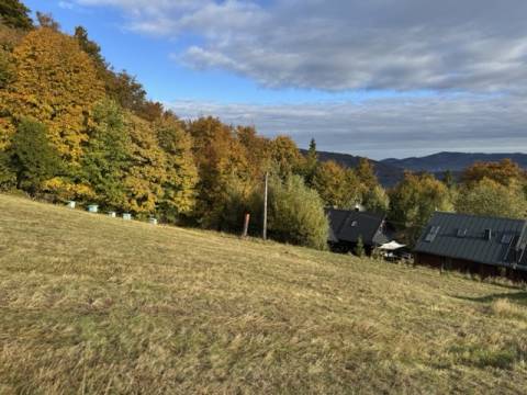 Chata Pod Jaworem w Wiśle