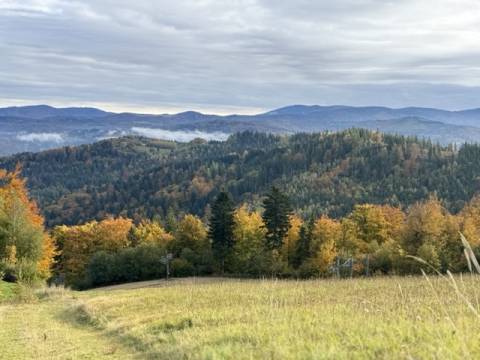 Chata Pod Jaworem w Wiśle